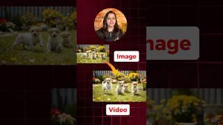 Best AI Video Generator for Text to Video & Image to Video   | AI Video Generator  #ai #shorts
