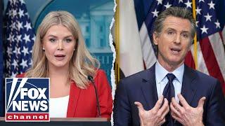 Leavitt: LAPD has been 'knee-capped' by 'incompetent' Dems