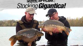 #SessionVictim Special - Stocking Gigantica!