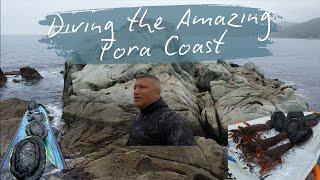 Diving the Awesome Tora Coast-Wairarapa, New Zealand