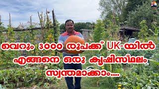 Vegetable harvesting from allotment ll Tour the Britain Malayalam ll Manu Joseph ll Malayalam