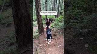 5 tips for hiking with your dog ️ #hikingdog #hikingwithdogs #dogshorts #dogs #adventuredog