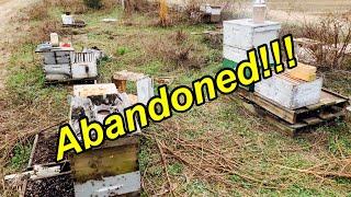 Going Through Some ABANDONED BEES | 1ST Hive INSPECTION in 6+ YEARS! WOW!!!