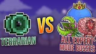 Terraria || Terrarian vs. All Expert Mode Bosses