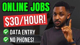 EARN $30/Hr! Online DATA ENTRY Jobs For Beginners | Work From Home 2023