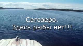 Сегозеро, отличная рыбалка на форель.