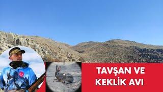 Tavşan ve Keklik avı(mükemmel hızlı yatak kalkışı)#harehunting #patridge #أرنب #охота на кролика