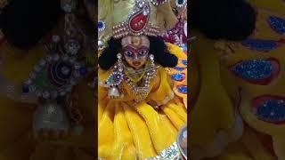 Radha Radha Radha Radha Radha  subha ratri Shayan darshan 