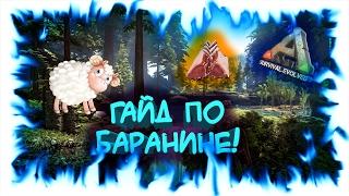 ARK: Survival Evolved! Гайд по баранине!