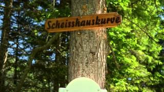 Wally Blitz Sommerrodelbahn