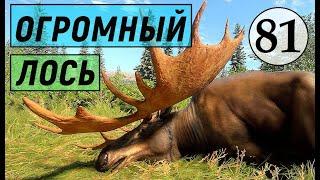 TheHunter Call of the Wild - ОГРОМНЫЙ ЛОСЬ # 81