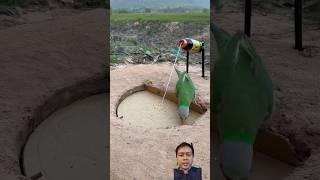Perangkap burung #shorts