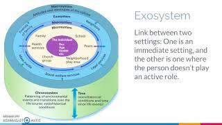 Bronfenbrenner's ecological theory