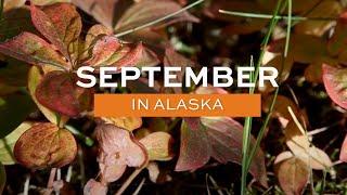 Alaska.org - September in Alaska