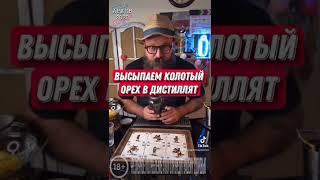 «КЕДРАЧ» настойка на кедровых орехах