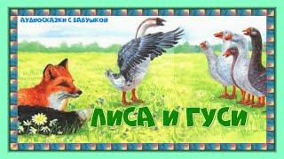 ЛИСА И ГУСИ русская народная сказка  АУДИО  С КАРТИНКАМИ.НА НОЧЬ.С ТЕКСТОМ .(С  СУБТИТРАМИ).