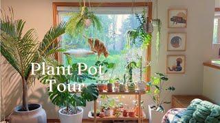 Plant Pot Tour | my collection of planters