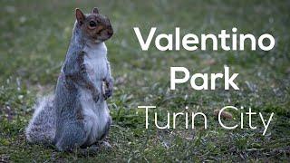 Discover the Magic of Turin's Valentino Park • Turin️