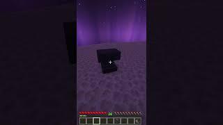 warte bis zum ende Minecraft secret #shorts