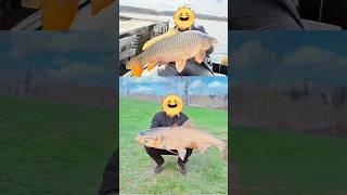 Оце так трофеї, оце так котушка Shimano. Коли придбав вдалий TwinPower 2024 і зірвав джекпот!