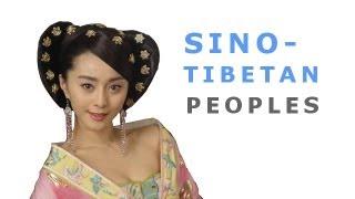 Sino-Tibetan Language Family