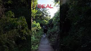 Reel vs Real