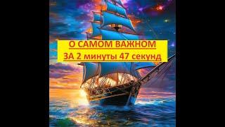 О самом важном за 2 минуты 47 секунд