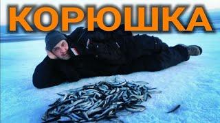 Удачная рыбалка на корюшку Шпунты, рыбалка весной, Successful smelt fishing Chpunti