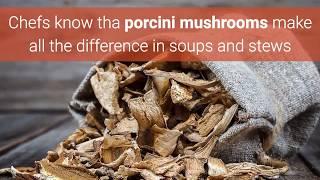 Porcini Mushroom | Dried Funghi Porcini