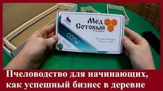 Сотовый Мёд. Как хорошо зарабатывать Пасечникам. Пчеловодство для Начинающих.