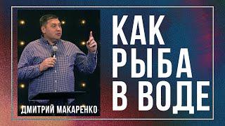 Дмитрий Макаренко – Как рыба в воде