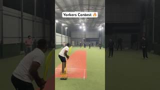 Yorkers Contest in Cricket  Helicopter shot Solution  Box Cricket Thrills  #cricket #shorts #ipl