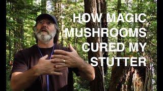 How magic mushrooms cured my stutter.