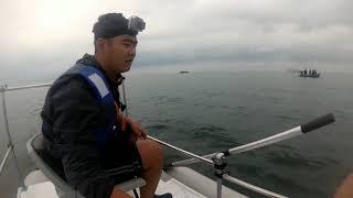 Mackerel fishing on the Sea