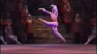 La Bayadere Solor (variation) Nikolai Tsiskaridze