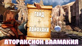 АТОРАКСИОН ВААМАКИЯ ГАЙД И ЛАЙФХАКИ BLACK DESERT MOBILE