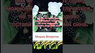 21августа-День МИРОНА ВЕТРОГОНА!МИРОН ЧУДОТВОРЕЦ, ЕПИСКОП КРИТСКИЙ.#natalia_blagaya #православныедни