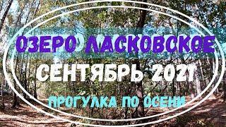 Озеро Ласковское. Прогулка по осени. Изучаем Рязань вместе. Осень в Рязани 2021. Россия