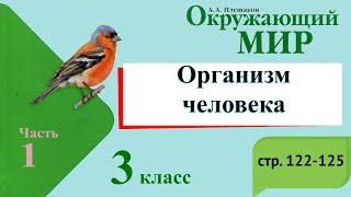 Организм человека. Окружающий мир. 3 класс, 1 часть. Учебник А. Плешаков стр. 122-125