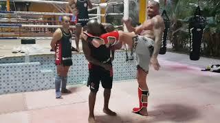 Lion Muay Thai Training By James Mcsweeney