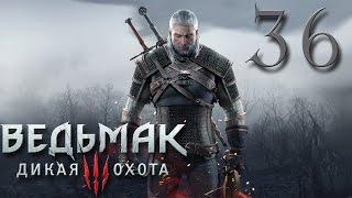 Прохождение The Witcher 3 Wild Hunt #36 - УРОК ФЕХТОВАНИЯ