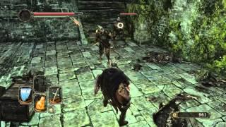 Controller Problems in Dark Souls 2