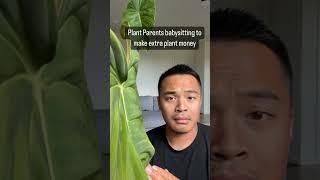 #plant #houseplants #houseplant #plantdaddy #indoorplants #comedy #houseplantlover #plants #plantdad