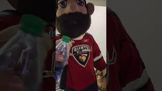 Vancouver Giant ASMR