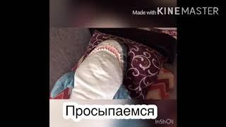 1 день из жизни акулы из икеа