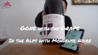 5. Gone with the Grape - in the Alps, Savoie AOC