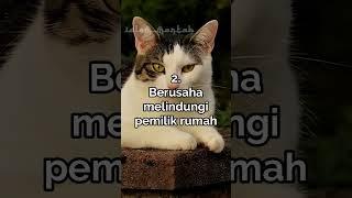 Kucing Liar Sering Ke Rumah Kita? Pertanda Ini!! #shorts #dakwah #islam #ceramah #kucing #rezeki