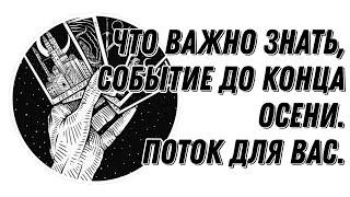 Что важно знать, таро поток, событие до конца осени