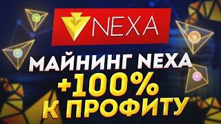 Майнинг новой монеты NEXA. Наcтройка майнинга Nexa HiveOS. Некса майнинг настройка хайв ос