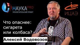 Что опаснее: сигарета или колбаса? | Лекции по медицине – врач Алексей Водовозов | Научпоп